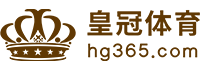 Logo 环球网页版
